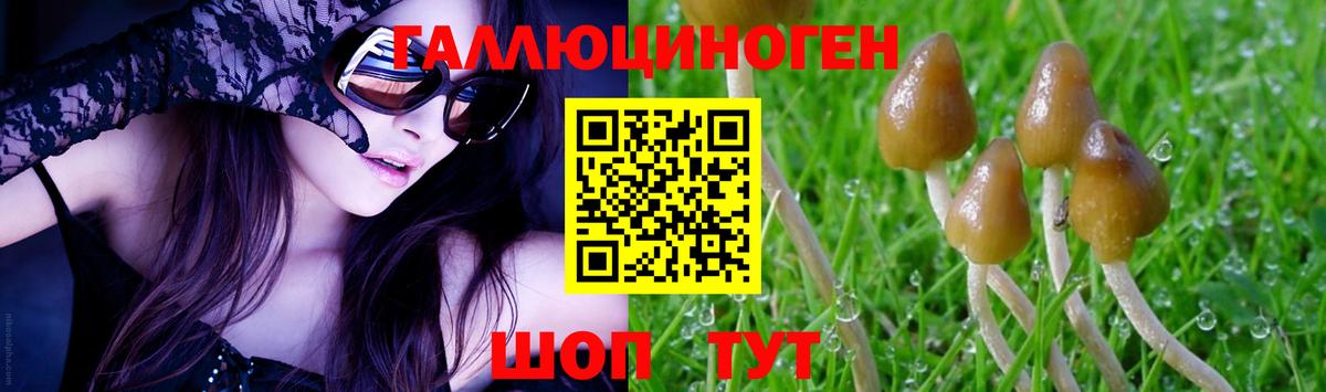 Псилоцибиновые грибы Psilocybe  Вход с VPN  Галлюциногенные грибы Cubensis  Муравленко 